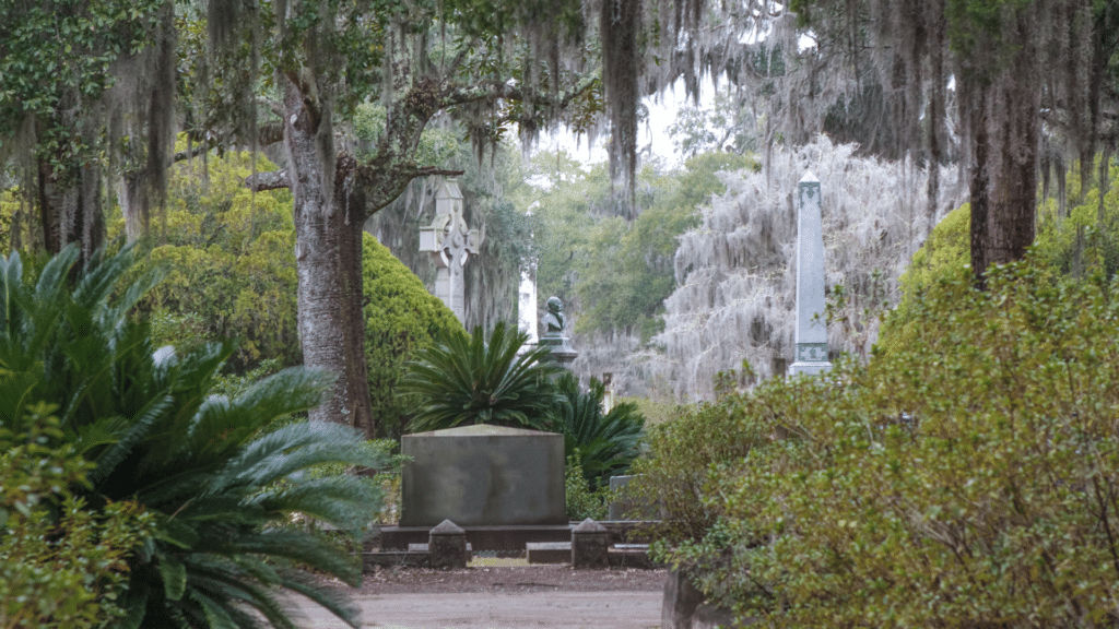 Stone monuments and dense greenery beneath moss-draped trees in a Savannah cemetery.